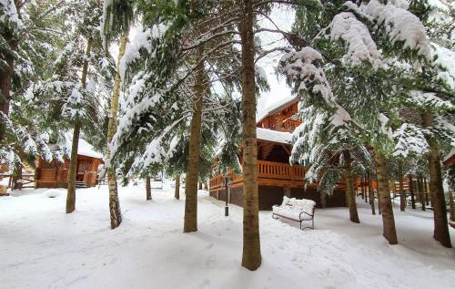 a cabin in the woods with snow on the trees at Gostynniy Dvir in Forest Коттеджи in Migovo