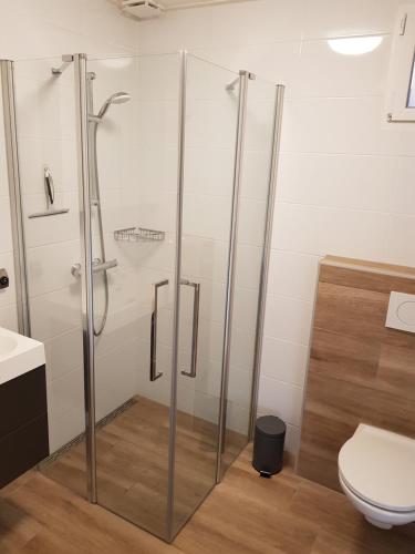 a glass shower in a bathroom with a toilet at Vakantiewoning Koegras in Julianadorp