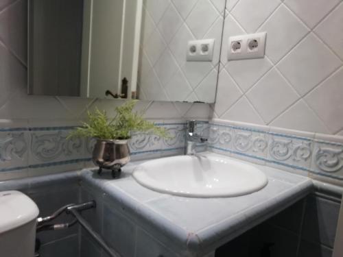 Homestay Alojamiento Reina Mercedes, Seville, Spain - Booking.com