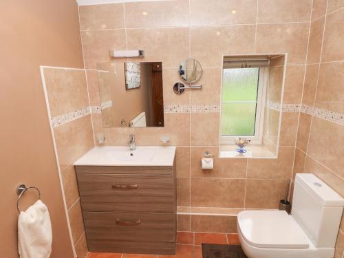 a bathroom with a sink and a toilet and a mirror at Old Dairy in Knelston