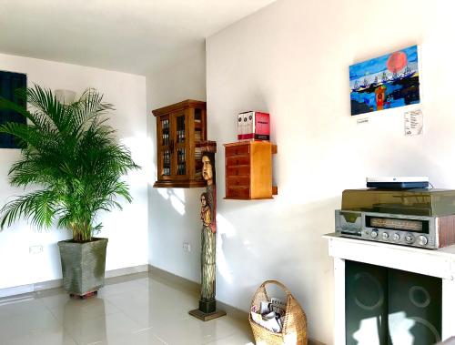 a living room with a plant in the corner at Zana Hotel Boutique in Cartagena de Indias