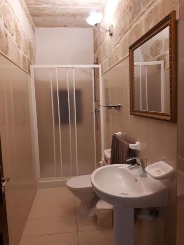 Un baño con inodoro, lavabo y ducha. en The Chateau, en Żejtun