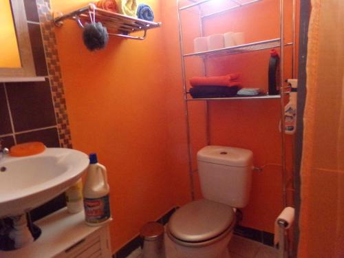a small bathroom with a toilet and a sink at chez annick et jacques in Garnier