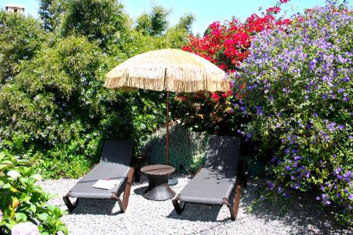 a patio with two chairs and an umbrella and flowers at El Morro in El Paso