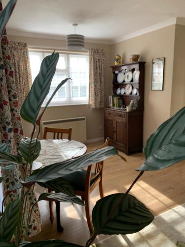 a living room with a table and a plant at Tolpuddle Hideaway, Tolpuddle, Dorset in Dorchester