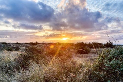 a sunset in a field with tall grass at Whalerock Luxury Home in Trinidad