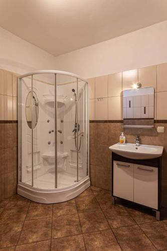 a bathroom with a shower and a sink at Zajazd Bachus in Dąbrowa Górnicza