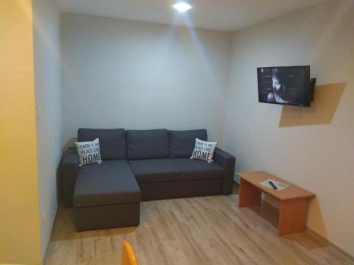 a living room with a couch and a tv at Appartment 2 in Braşov