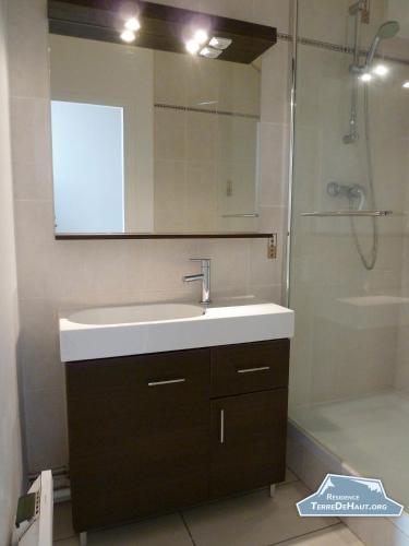 a bathroom with a sink and a shower and a mirror at Résidence Terre de Haut in Super Besse