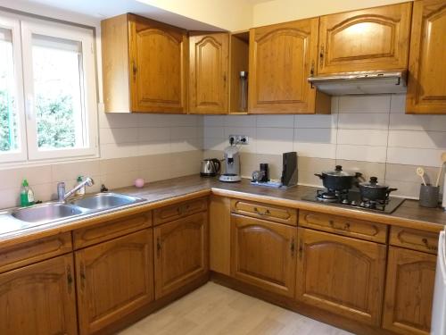 une cuisine avec des armoires en bois et un évier dans l'établissement Location A.M.I, à Bellegarde-sur-Valserine