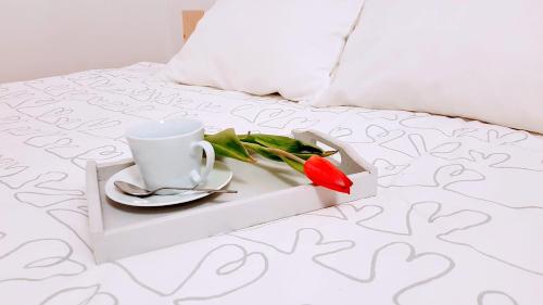 a tray with a cup and a red flower on a bed at Rynek Staromiejski Apartment in Koszalin