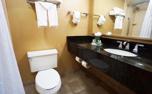 La salle de bains est pourvue de toilettes et d'un lavabo avec miroir. dans l'établissement Holiday Inn Corpus Christi Downtown Marina, an IHG Hotel, à Corpus Christi
