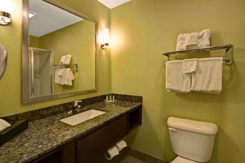 uma casa de banho com um lavatório, um espelho e um WC. em Holiday Inn Christiansburg Blacksburg, an IHG Hotel em Christiansburg