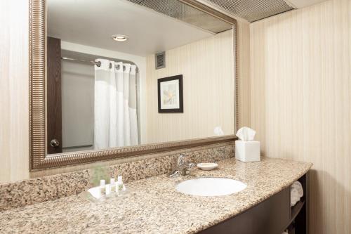 Kylpyhuone majoituspaikassa Holiday Inn Dubuque/Galena, an IHG Hotel