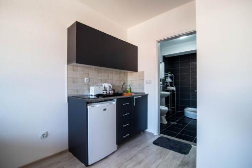 - une cuisine avec un évier et un comptoir dans l'établissement Dzusy Apartments, à Ohrid