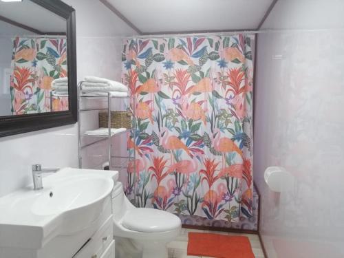 une salle de bain avec un rideau de douche avec des toilettes et un lavabo dans l'établissement Apart "Villa Antonia" Cabañas y Departamentos Delegaciones, à Dalcahue