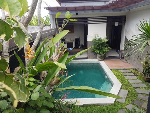 坎古的住宿－艾力特巴厘島別墅，一座房子的院子内的小型游泳池