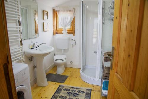 a bathroom with a toilet and a shower and a sink at Mountain Vista Chalet in Žabljak