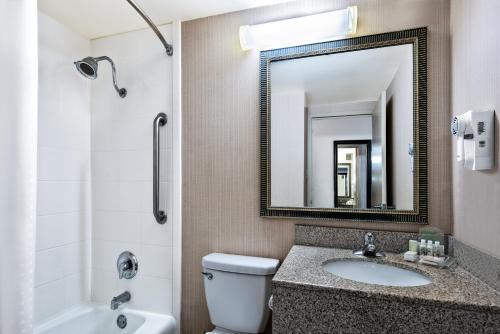 Koupelna v ubytování Holiday Inn Hotel Dallas DFW Airport West, an IHG Hotel