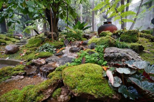 a garden with moss and rocks and a waterfall at Treescape Resort Chiangmai in Chiang Mai