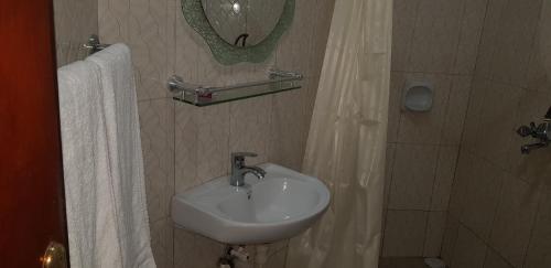 a bathroom with a sink and a shower curtain at Hotel Oasis in Morogoro