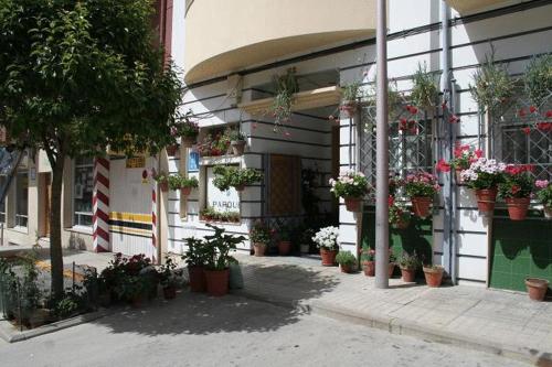 a building with potted plants on the side of it at Parque in Cazorla