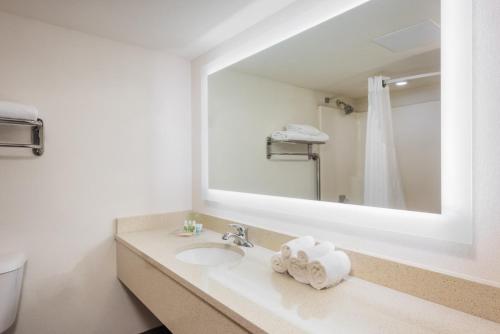 a bathroom with a sink and a mirror at Holiday Inn At Six Flags Saint Louis by IHG in Eureka