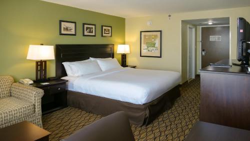 Foto da galeria de Holiday Inn - Fort Myers - Downtown Area, an IHG Hotel em Fort Myers