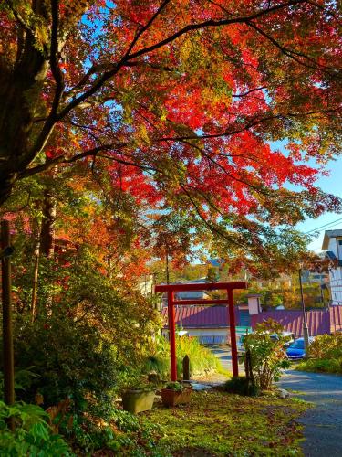 a tree with autumn leaves on it with a red structure at Kirishimaya Ryokan in Kusatsu