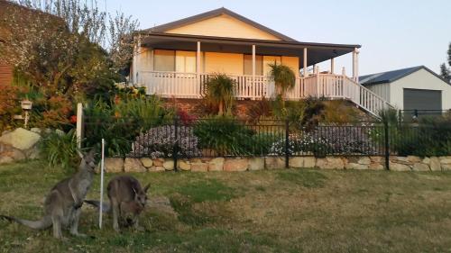a couple of animals standing in front of a house at Sundowner Cottage in Sanctuary Point