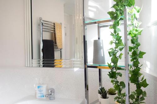 a bathroom sink with a mirror and a plant at Flower In Hand Apartment in Norwich