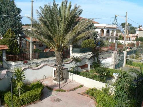 una palmera frente a un edificio en Villa Anna, en Agnone Bagni