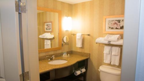 een badkamer met een wastafel, een toilet en een spiegel bij Holiday Inn Saint Louis-Fairview Heights, an IHG Hotel in Fairview Heights