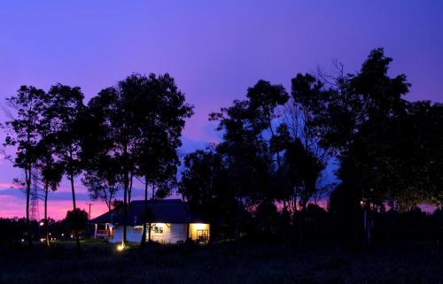 a house in a field with trees at night at Sabaidee Valley in Ban Gnik
