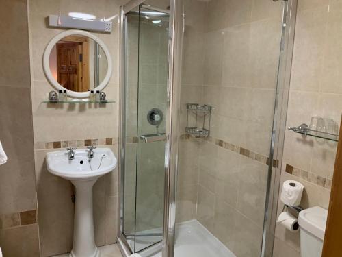 a bathroom with a shower and a sink and a toilet at Algret House B&B in Killarney