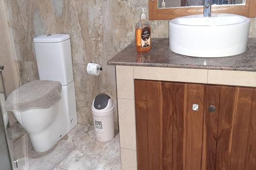 La petite salle de bains est pourvue de toilettes et d'un lavabo. dans l'établissement Greenro Residence Colombo, à Kottawa
