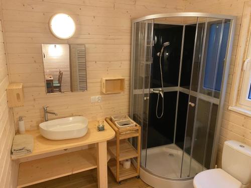 a bathroom with a shower and a sink at Chaty Mazur w Wierzbie in Ruciane-Nida