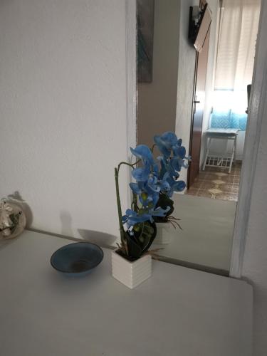 a vase of blue flowers sitting on a counter at 4 stagioni in Villasimius