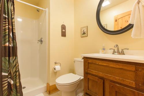 a bathroom with a toilet and a sink and a mirror at Rooster Ridge in Hendersonville