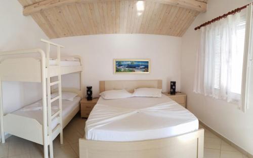 a bedroom with a bunk bed and a ladder at Vela e Bardhe in Dhërmi