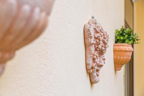 a sausage hanging on a wall with a plant at Casa Parravano in Caserta