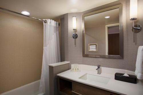 a bathroom with a sink and a mirror at Holiday Inn Grand Rapids-Airport, an IHG Hotel in Grand Rapids