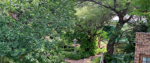 a garden with trees and a pathway with a lamp at Modjadji Estate Lodge & Spa in Grietjie Nature Reserve
