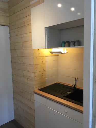uma cozinha com um lavatório e uma bancada em Studio des Eterlous em Saint-Chaffrey