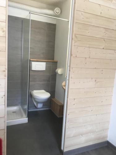 a small bathroom with a toilet and a shower at Studio des Eterlous in Saint-Chaffrey