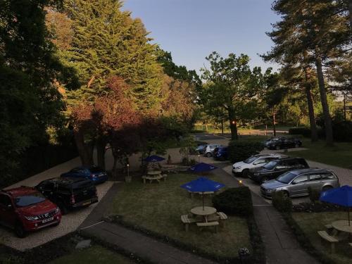 Zahrada ubytování Le Chateau