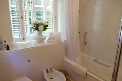 a bathroom with a sink and a toilet and a window at Bagnell Farm Cottage in Chiselborough