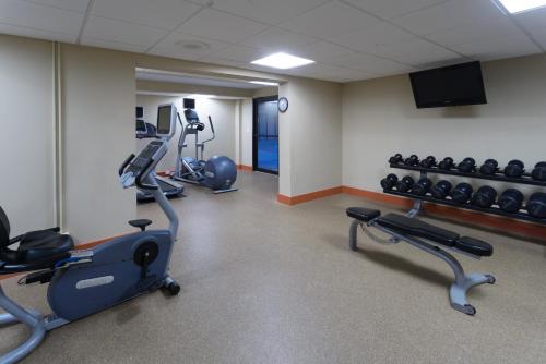 Fitness centrum a/nebo fitness zařízení v ubytování Holiday Inn Harrisburg I-81 Hershey Area by IHG
