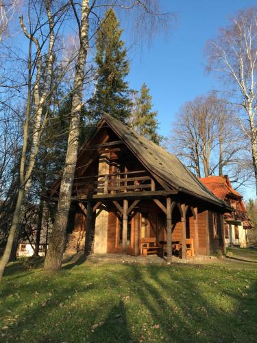 a large wooden cabin in the middle of a forest at Villejka, domki i domy wakacyjne in Wetlina