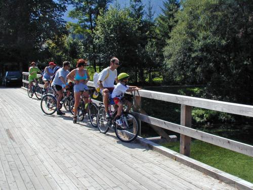 Gallery image of Accommodation Destina, LAKE BOHINJ in Bohinj